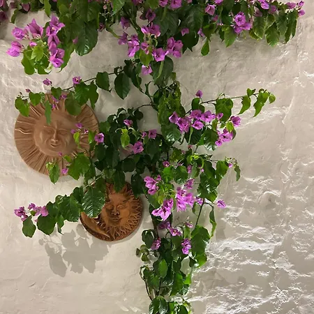 Bed & Breakfast Montesanto 60 & Relax Alberobello